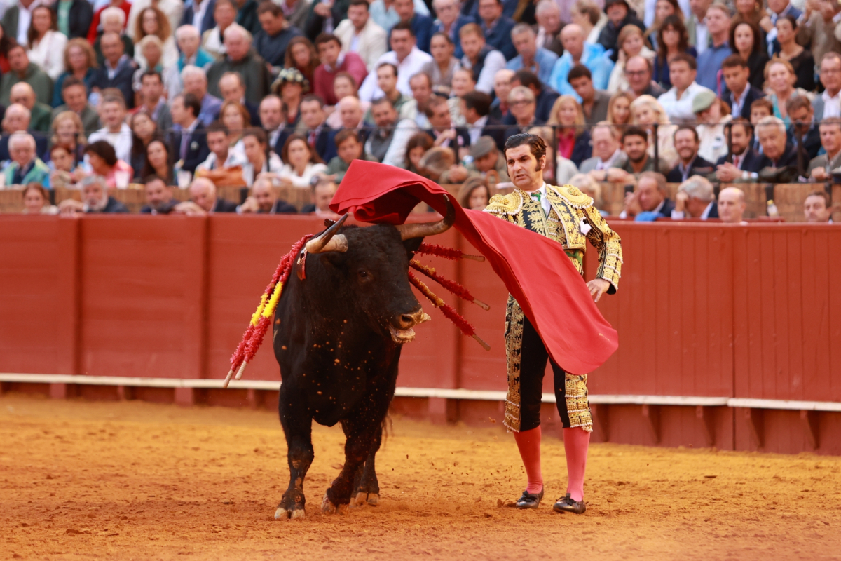 La ONU vuelve a la carga contra la tauromaquia y pide a España prohibir los toros a menores