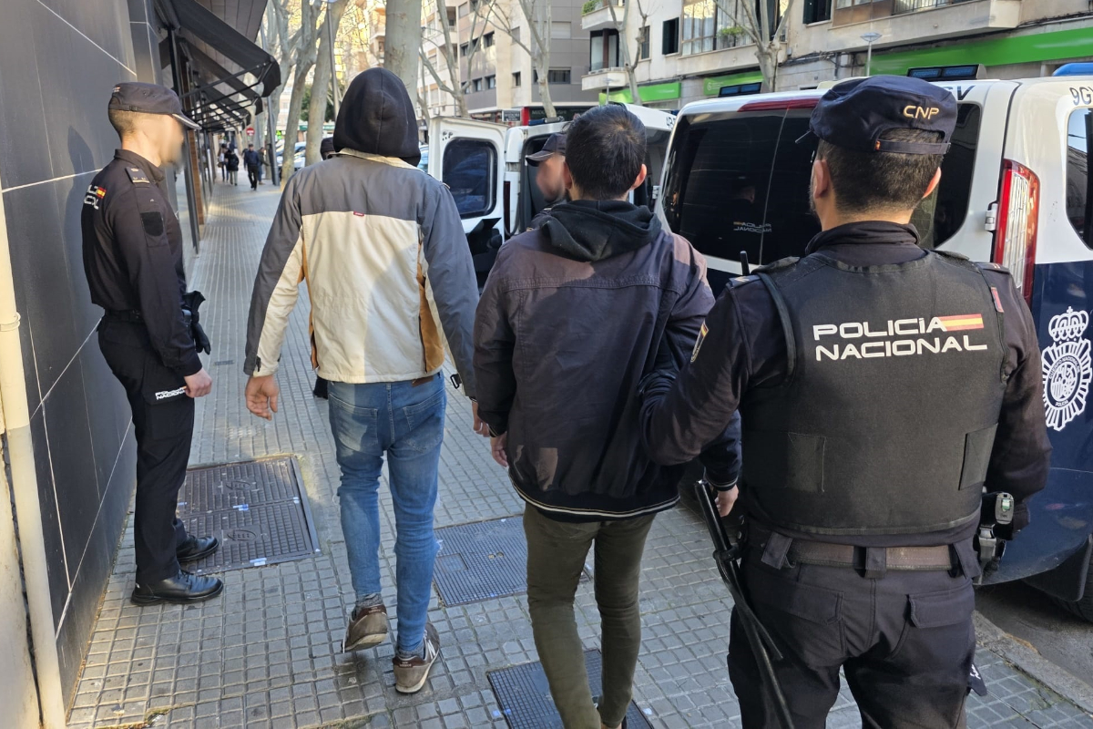 Desarticulada una banda organizada que cometió  casi 80 robos en comercios y farmacias del centro de Palma de Mallorca