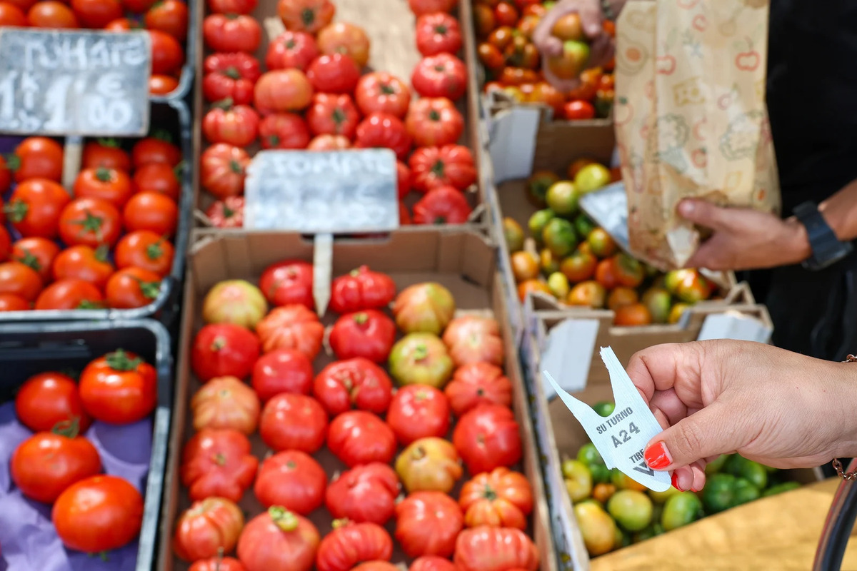 Nuevo ataque al campo español: los productores detectan la desaparición de información sobre el número de tomates importados desde Marruecos