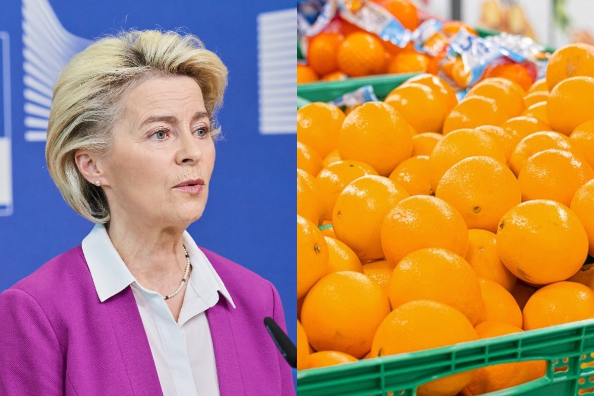 Alertan de la llegada a Europa de lotes de naranjas procedentes de Egipto con residuos y fitosanitarios prohibidos