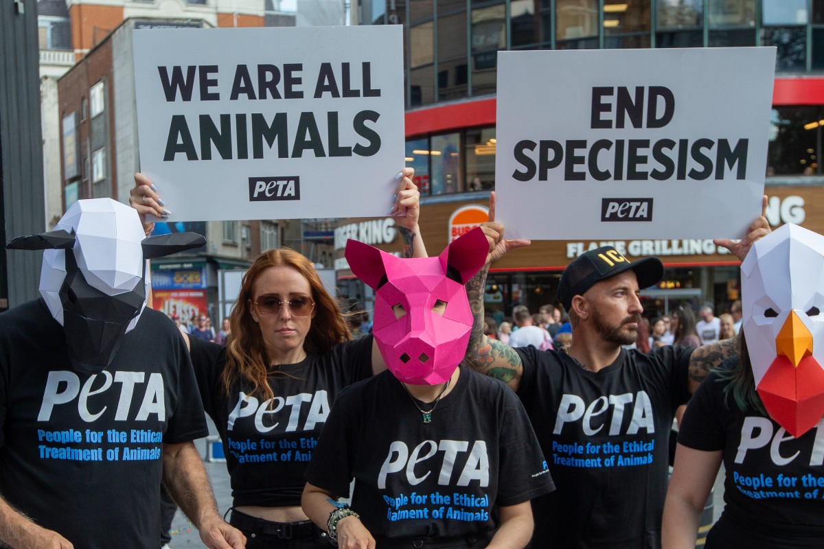 Ámsterdam prohibirá la publicidad de carne en la ciudad mientras los médicos recuerdan que los veganos «carecen de nutrientes esenciales»