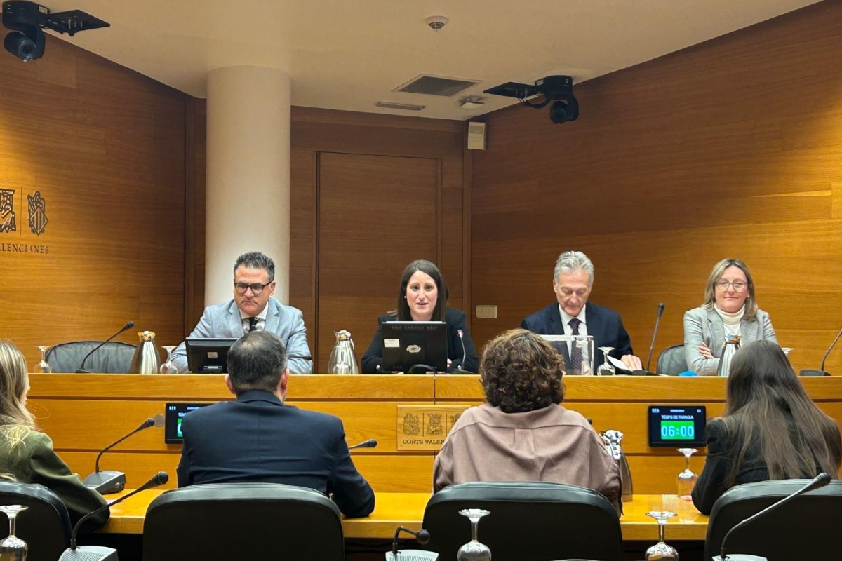 Constituida en las Cortes Valencianas la comisión  sobre las adjudicaciones irregulares de viviendas de protección oficial en Alicante a cargos del PP