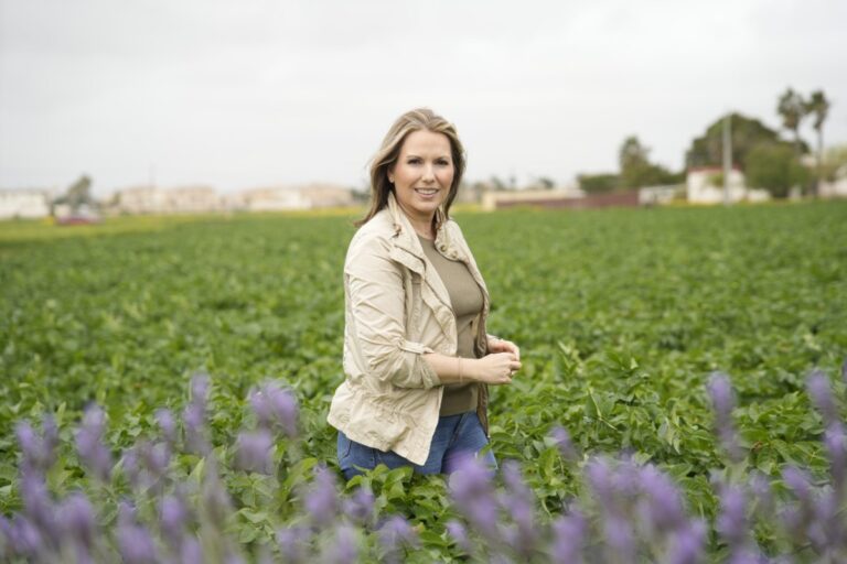 SOS Rural destapa la verdad sobre las talas masivas de olivos: «Que la gente sepa que donde se pone una placa solar, allí ya no crece nada en muchísimos años»
