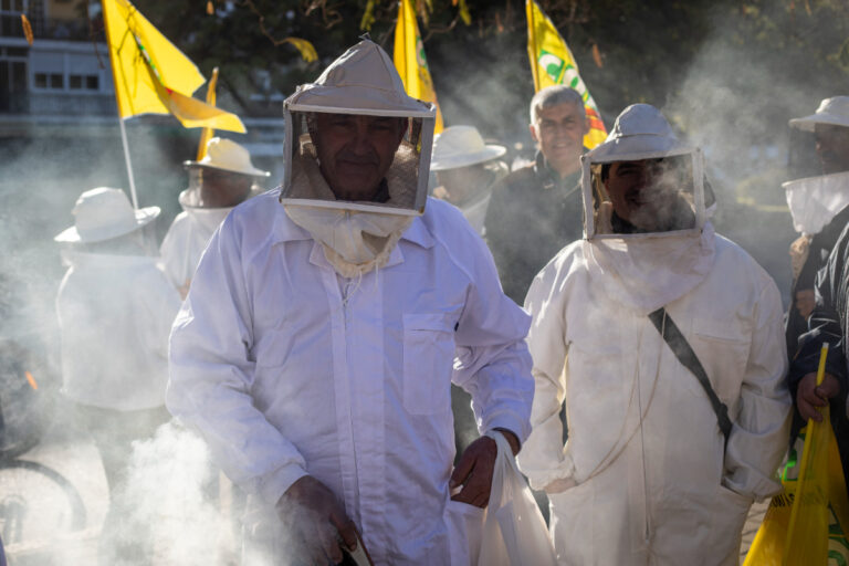 Apicultores salen a la calle contra la «miel falsa»: denuncian la entrada masiva de siropes extranjeros vendidos como miel