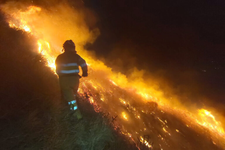 Los incendios arrasan más de 15.800 hectáreas agrícolas en lo que va de 2026, una de las cifras más altas
