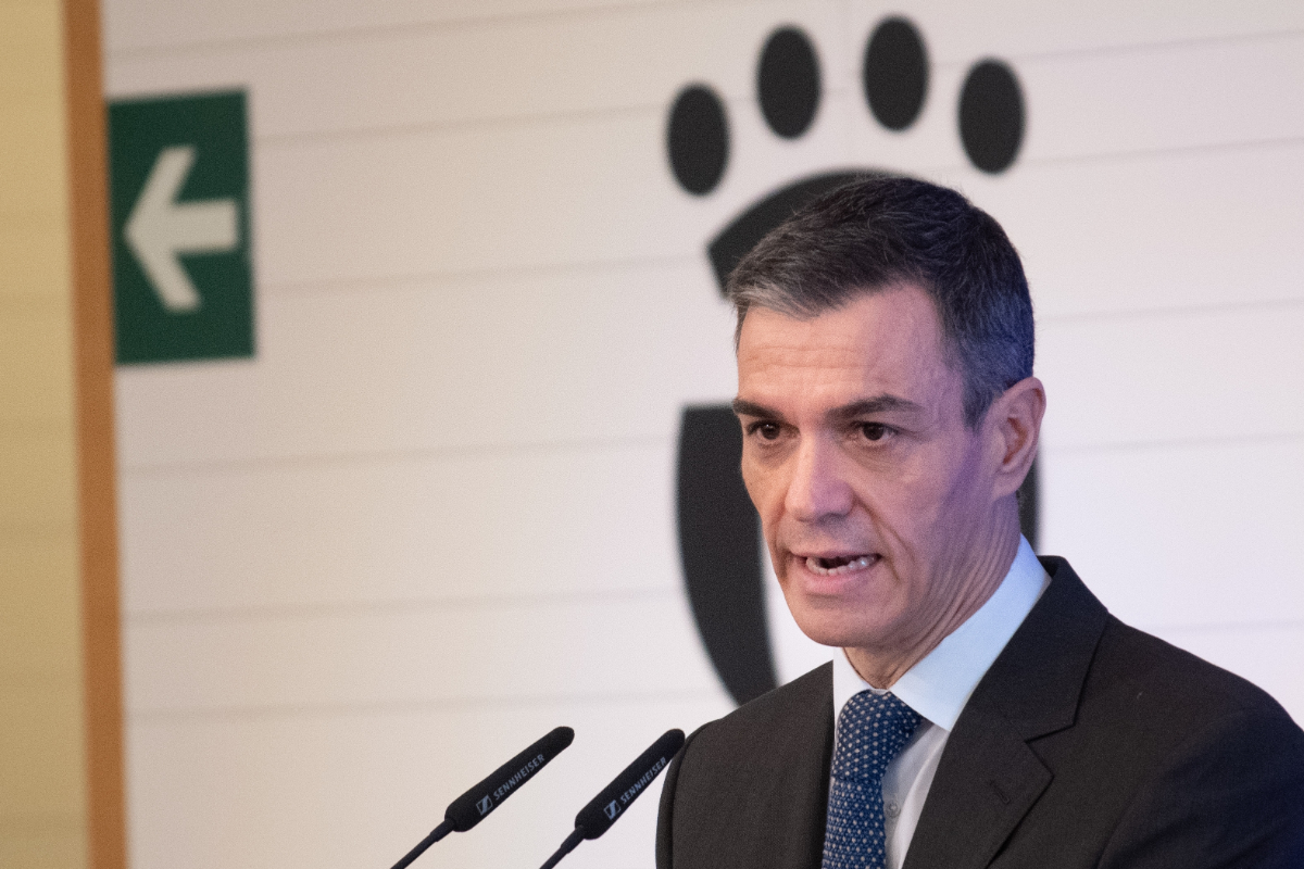 El Gobierno de Sánchez ejecutó menos de un 13% de las deportaciones de inmigrantes ilegales aprobadas en 2025: apenas 3.400 de casi 54.000 emitidas