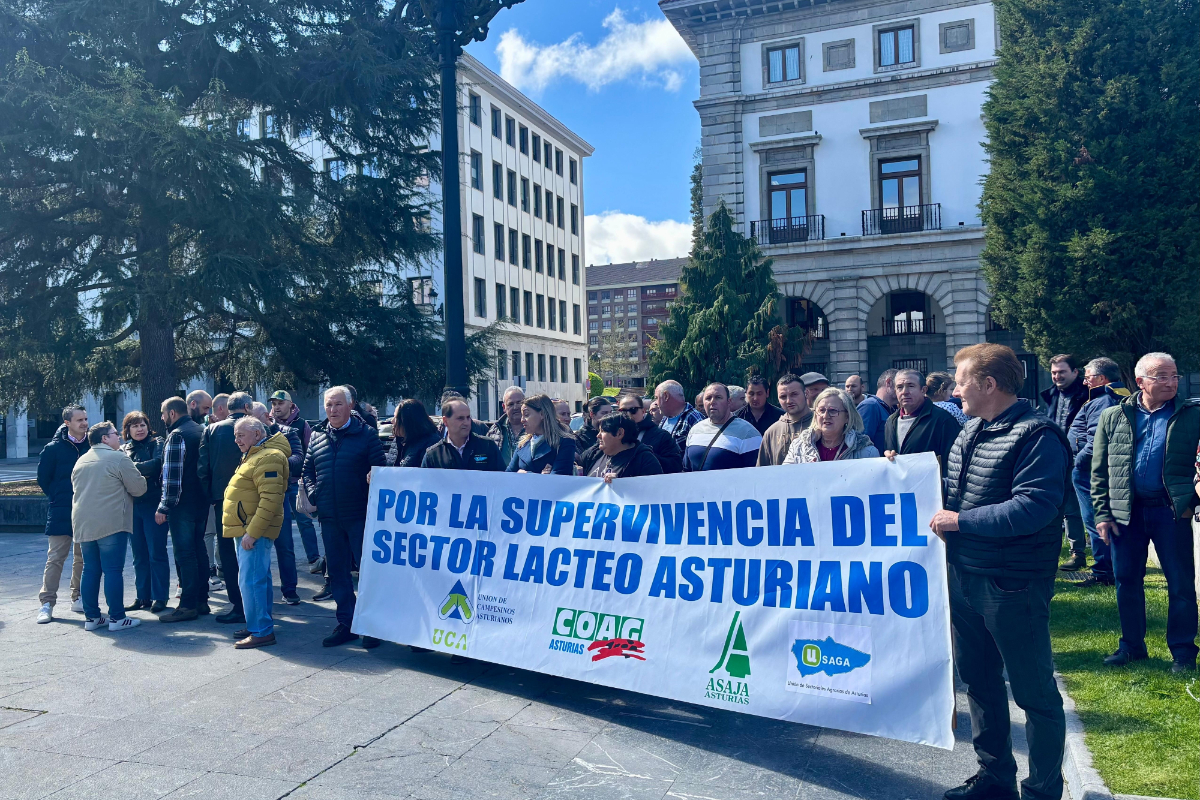 Ganaderos asturianos alertan: la leche francesa barata y la caída de precios amenazan con cerrar explotaciones