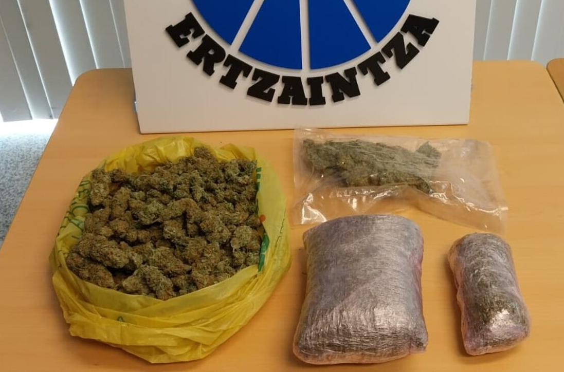 Detenido en Lemona (Vizcaya) un inmigrante latino que había utilizado su vivienda para por cultivar más de 250 plantas de marihuana