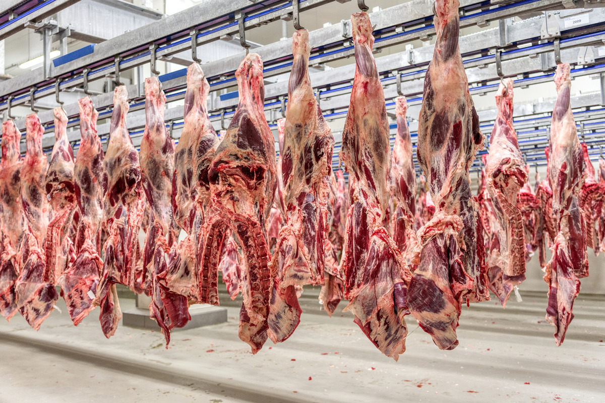 Bruselas aprueba un criterio a espaldas de los ganaderos que beneficiará a una empresa brasileña señalada por contener hormonas cancerígenas