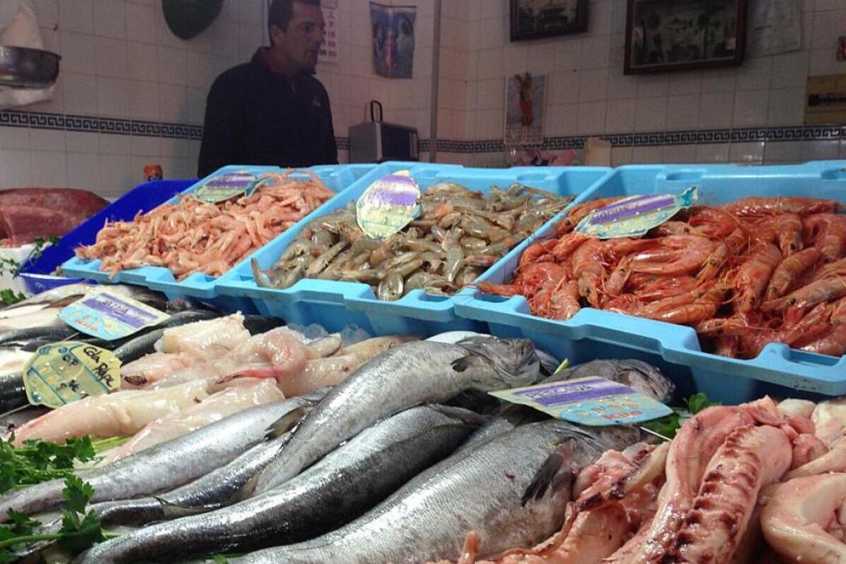Alertan de pescado tóxico procedente de Marruecos introducido a través de España: «La seguridad alimentaria está en peligro»