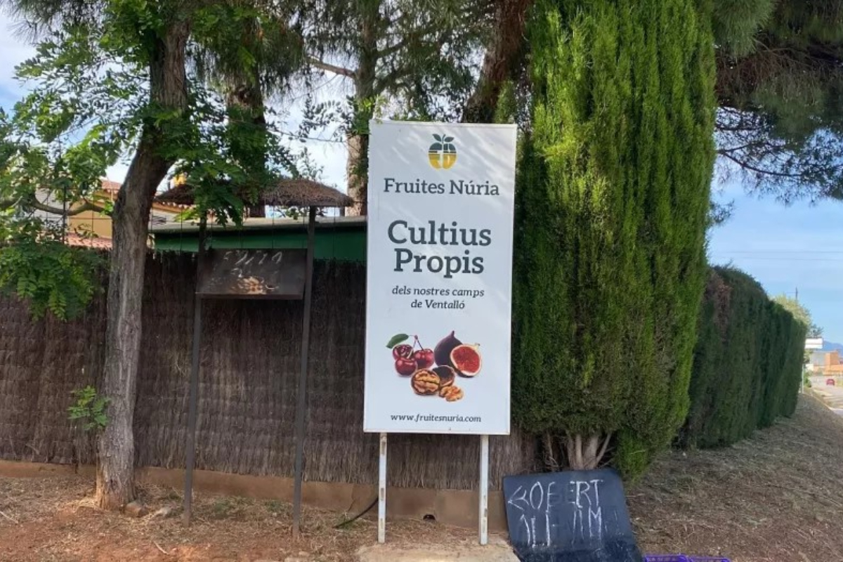 La Generalitat multa con 10.000 euros a un agricultor por colocar carteles para vender su fruta: «Es para cerrar»
