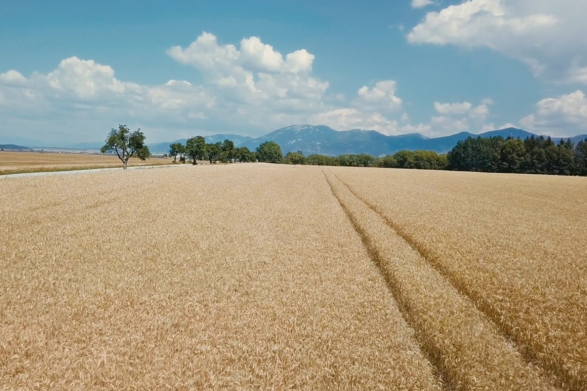 La tasa verde de Bruselas dispara el precio de los fertilizantes y amenaza con comerse el 10% del presupuesto de los agricultores