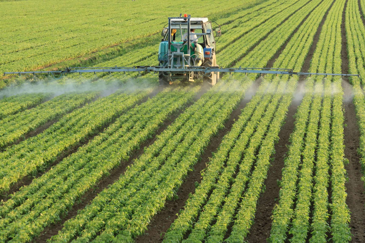 Los jóvenes agricultores alertan del avance de la competencia desleal de Marruecos y exigen a  cláusulas espejo para salvar el campo español