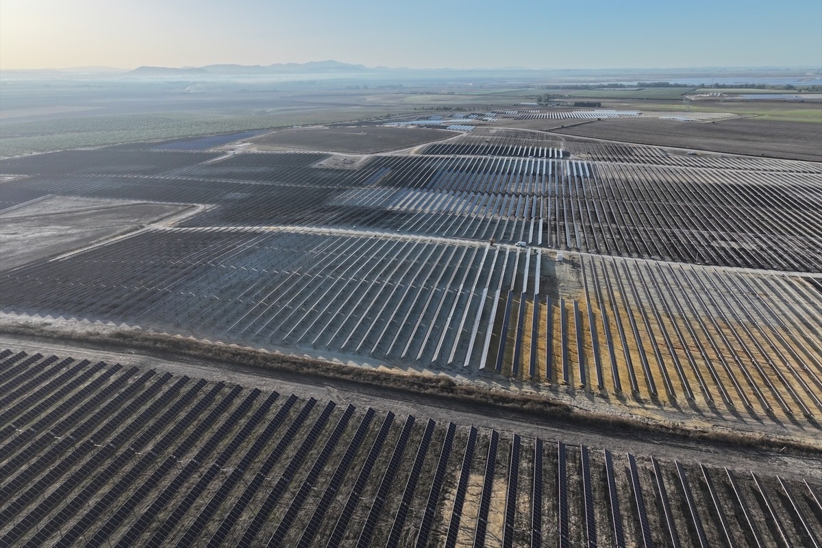 Colapsa el sector solar fotovoltaico español: sólo un tercio de la electricidad vendida obtiene un ingreso mínimo