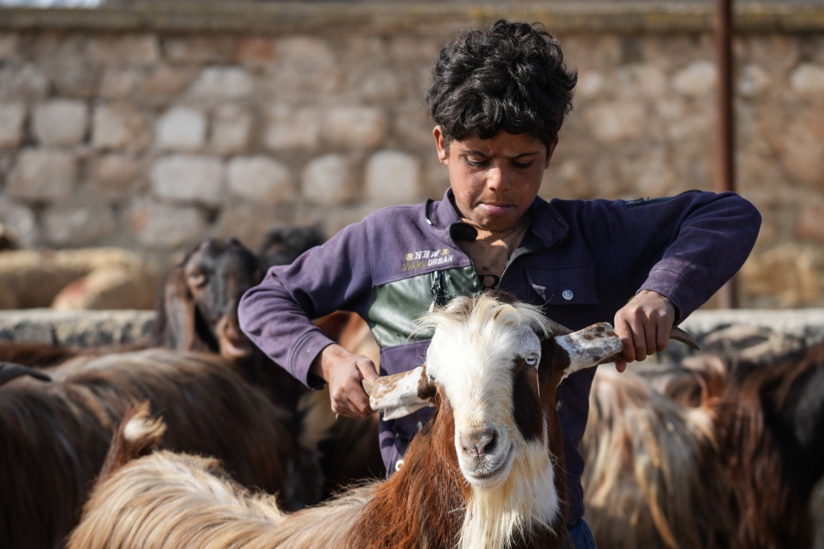 Un instituto público de Cataluña adapta su jornada escolar a la fiesta islámica del cordero y permite no asistir a clase ni hacer exámenes por el Eid al-Adha