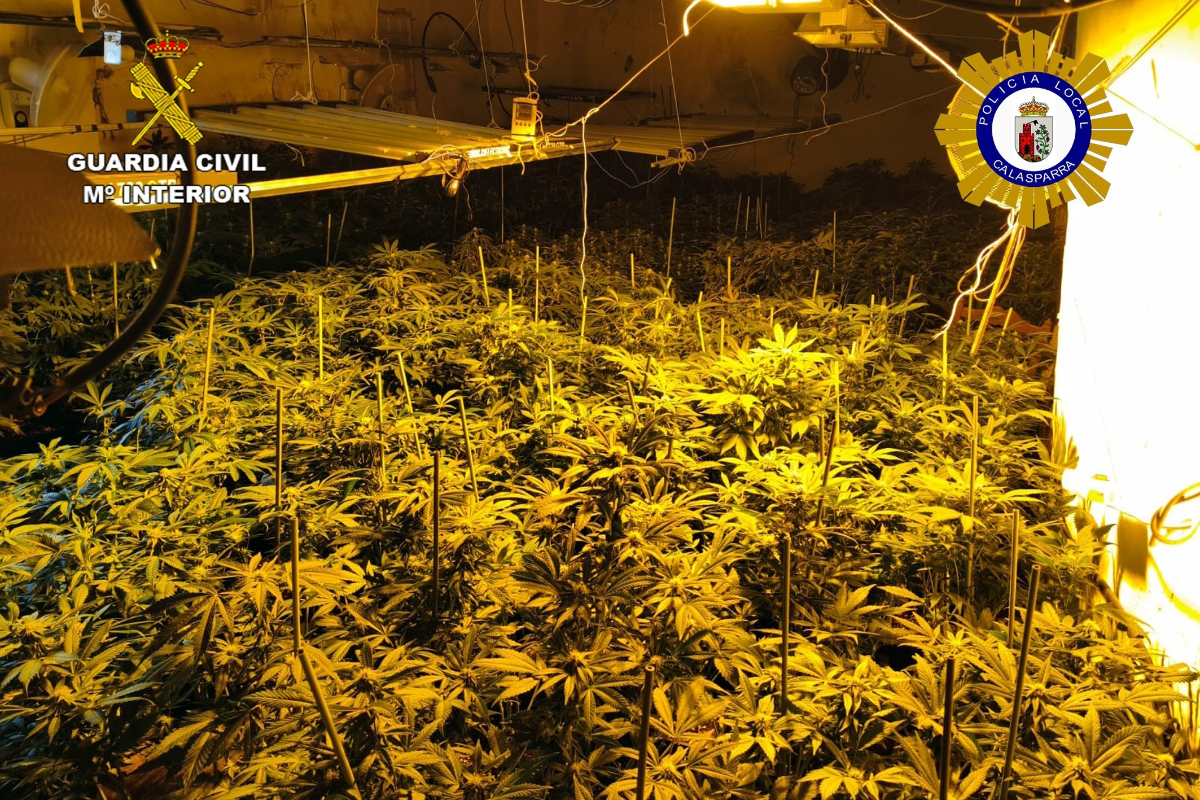Cae una trama empresarial en Tarragona y Granada que abastecía a redes albanesas dedicadas al cultivo de marihuana