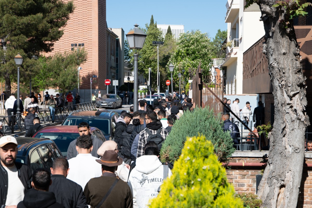 Más de 200.000 inmigrantes ilegales han comenzado ya sus trámites para lograr la «regularización» en España