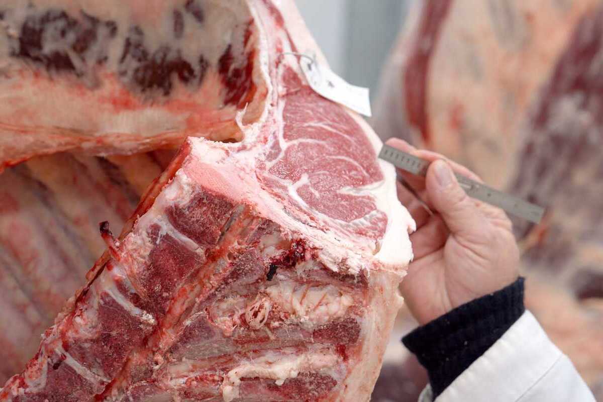 Bruselas llena Europa de alimentos contaminados por el acuerdo con Mercosur: llegan lotes de carne y de girasol infectados de Argentina, Brasil y Uruguay