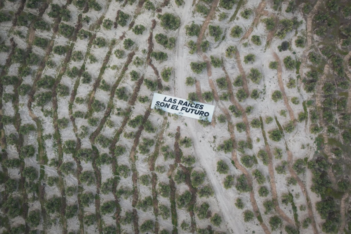 VOX instala una lona gigante en un olivar de Jaén para denunciar la tala masiva de olivos: «Las raíces son el futuro y lo sostienen todo»