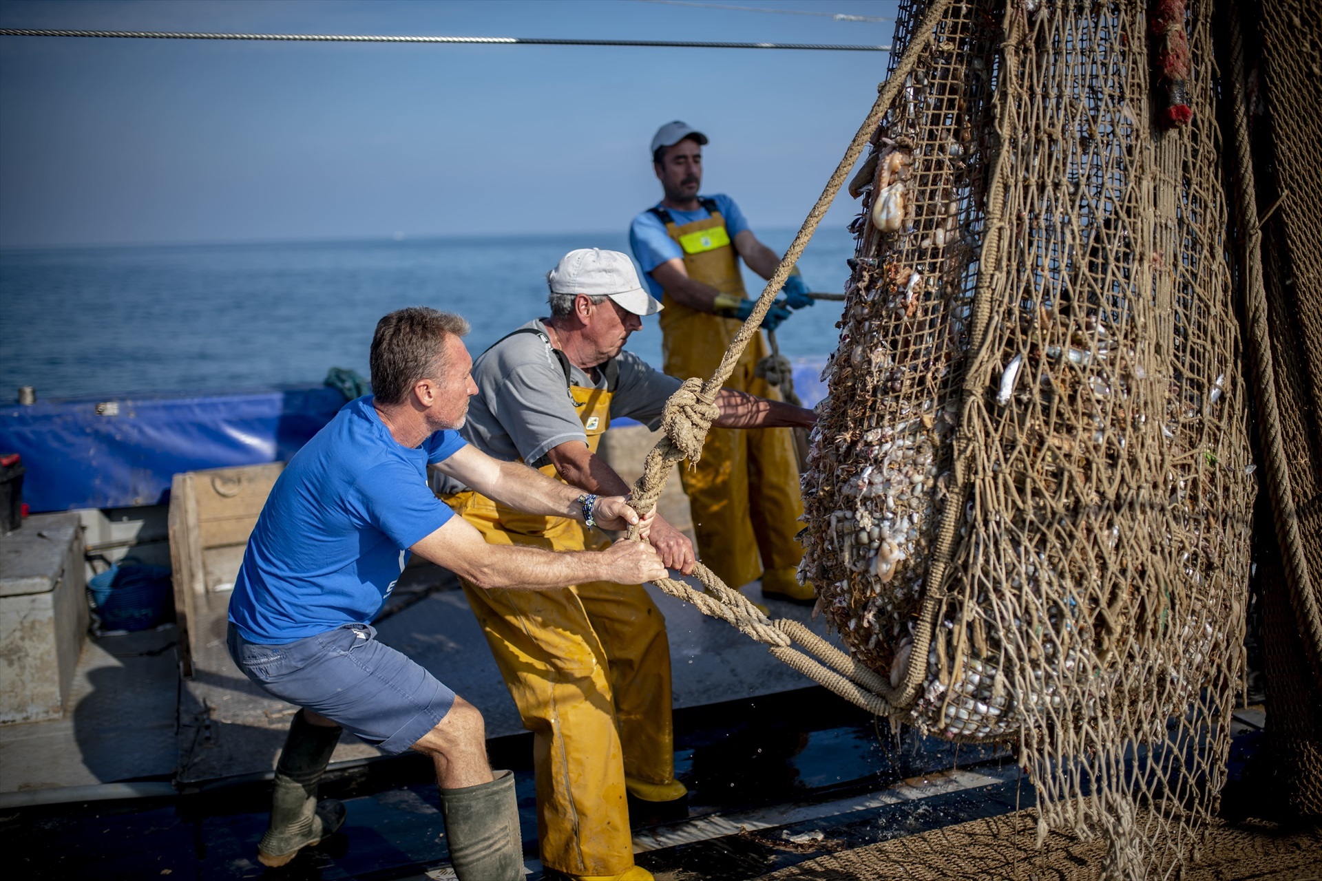 Nuevo ataque contra los pescadores españoles: Marruecos exporta pez espada capturado con redes de deriva prohibidas