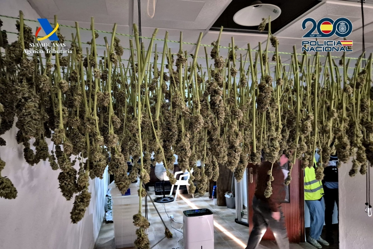Cinco detenidos por traficar con marihuana oculta entre bolsas de patatas fritas en Sevilla