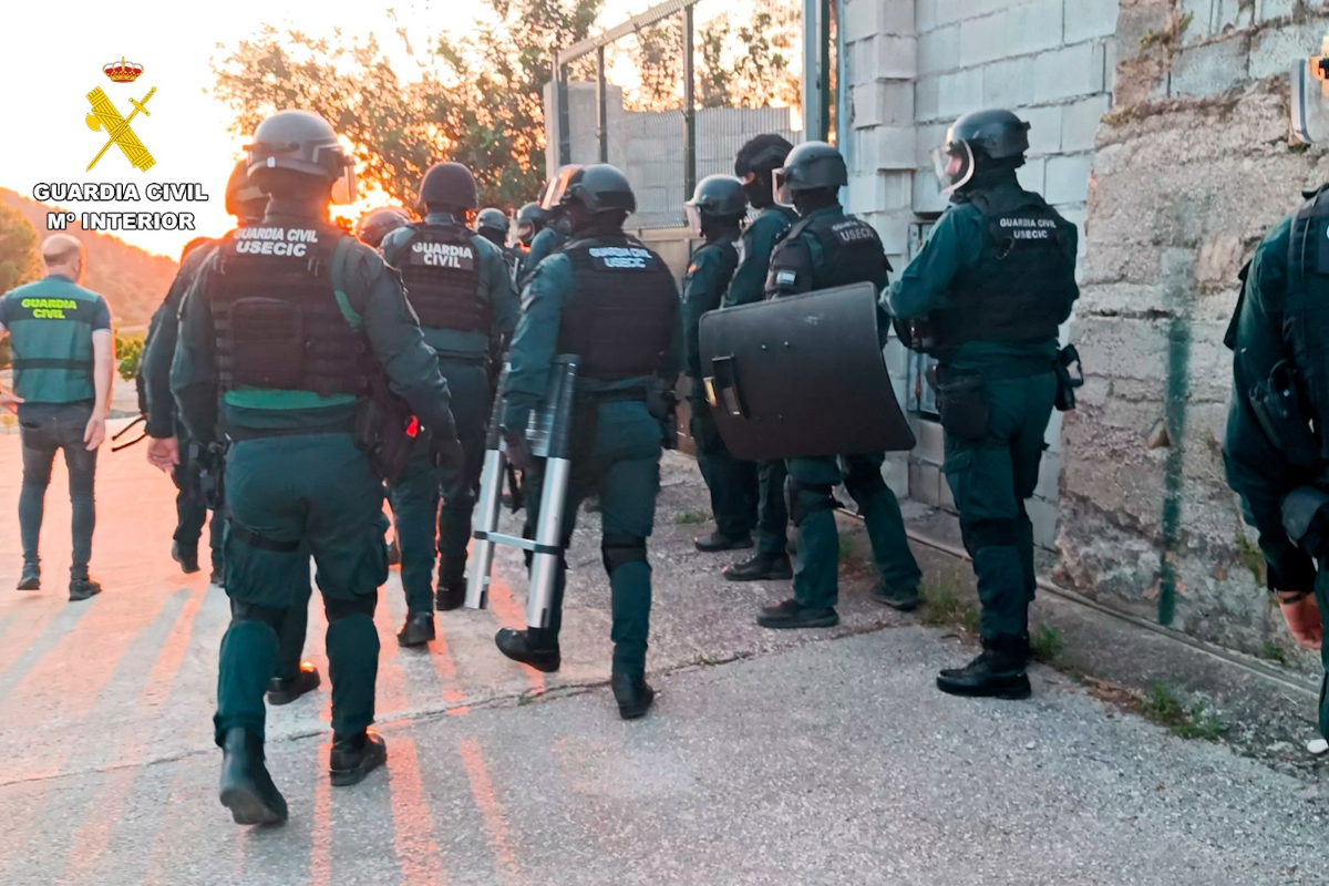 Detenidos cuatro albaneses y ucranianos por dos plantaciones de marihuana en Oliva: utilizaban identidades falsas para alquilar los inmuebles