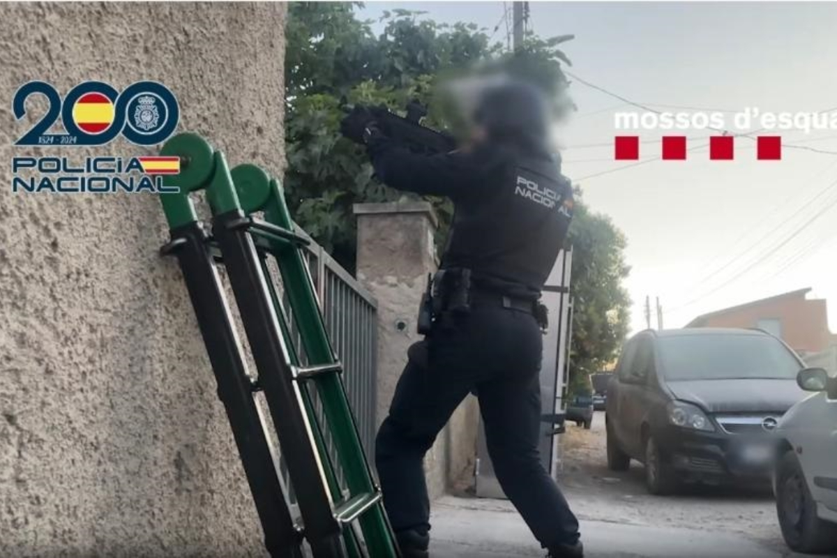 Cae en Tarragona una red de narcotráfico con «jardineros» albaneses: 5.000 plantas de marihuana, armas y 14 detenidos