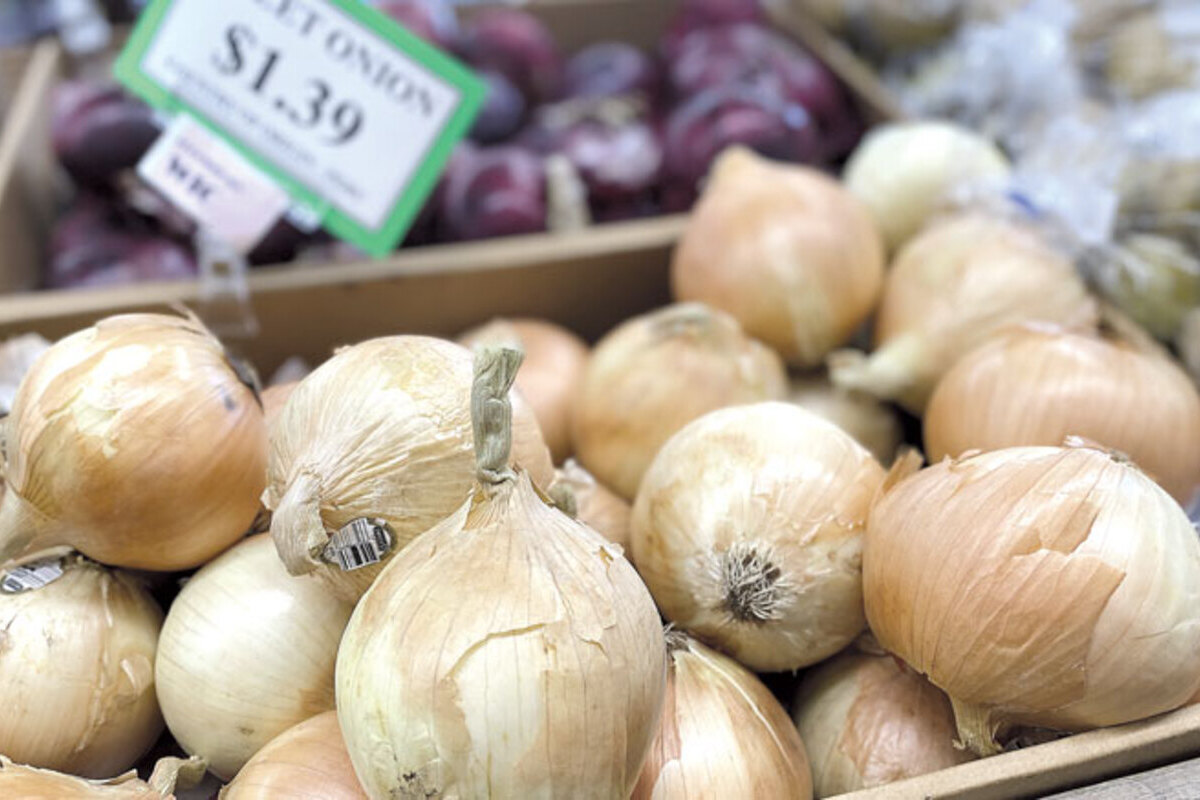 Crece un 30% la importación de cebollas de Perú, Chile o Sudáfrica ante la desesperación de los agricultores españoles