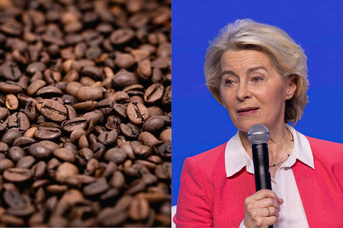 Bruselas encarece la taza de café: la UE somete el soluble a nuevas exigencias verdes