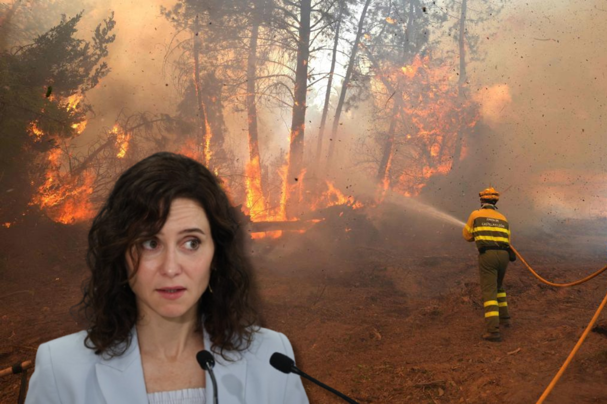 La CAM aprobó este año dos proyectos de placas fotovoltaicas en terrenos cultivables de San Martín de Valdeiglesias, municipio más afectado por los incendios
