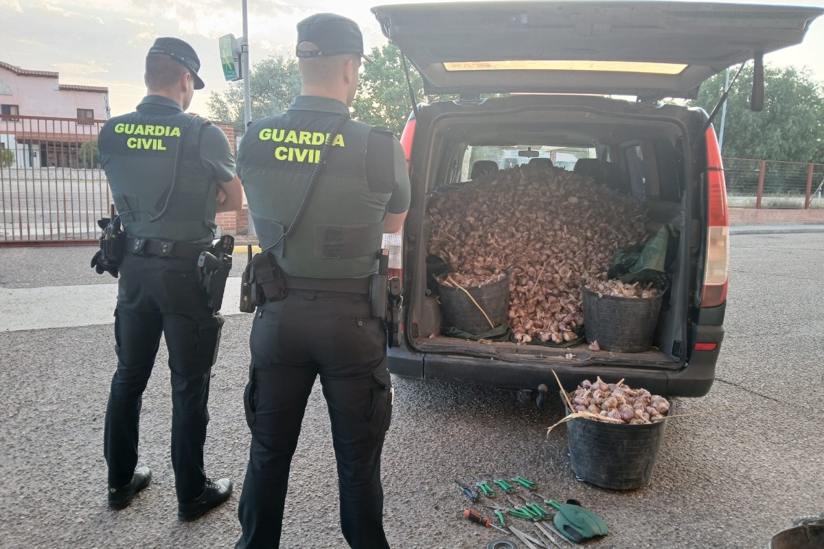 La Guardia Civil detiene a dos extranjeros por robar una tonelada de ajos en explotaciones agrícolas de Valladolid