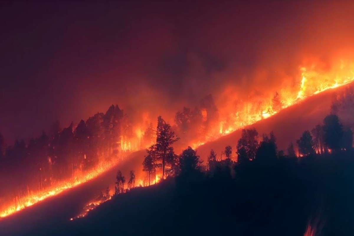 El relato climático oculta el factor humano y el abandono forestal detrás de los incendios en Europa