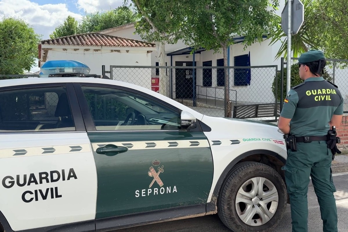 Detenidas 23 personas en dos operaciones contra el narcotráfico en Madrid y Valencia con incautación de cocaína, marihuana, dinero, armas y vehículos
