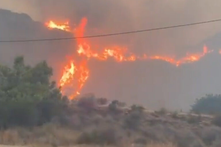Al menos 12 muertos, 19 desaparecidos y ocho heridos, cuatro de ellos graves, en el incendio forestal de Los Gallardos (Almería)