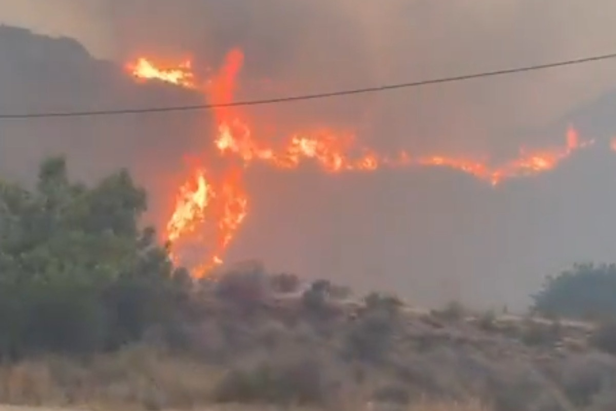 Once muertos y ocho heridos, cuatro graves, en el incendio forestal de Los Gallardos (Almería)