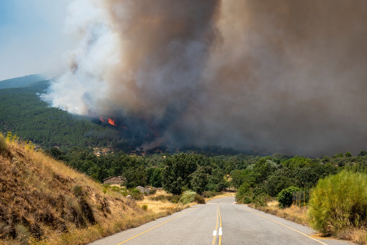 Aviones Canadair CL-415 italianos y griegos llegarán este sábado a España ante la falta de medios para combatir los incendios