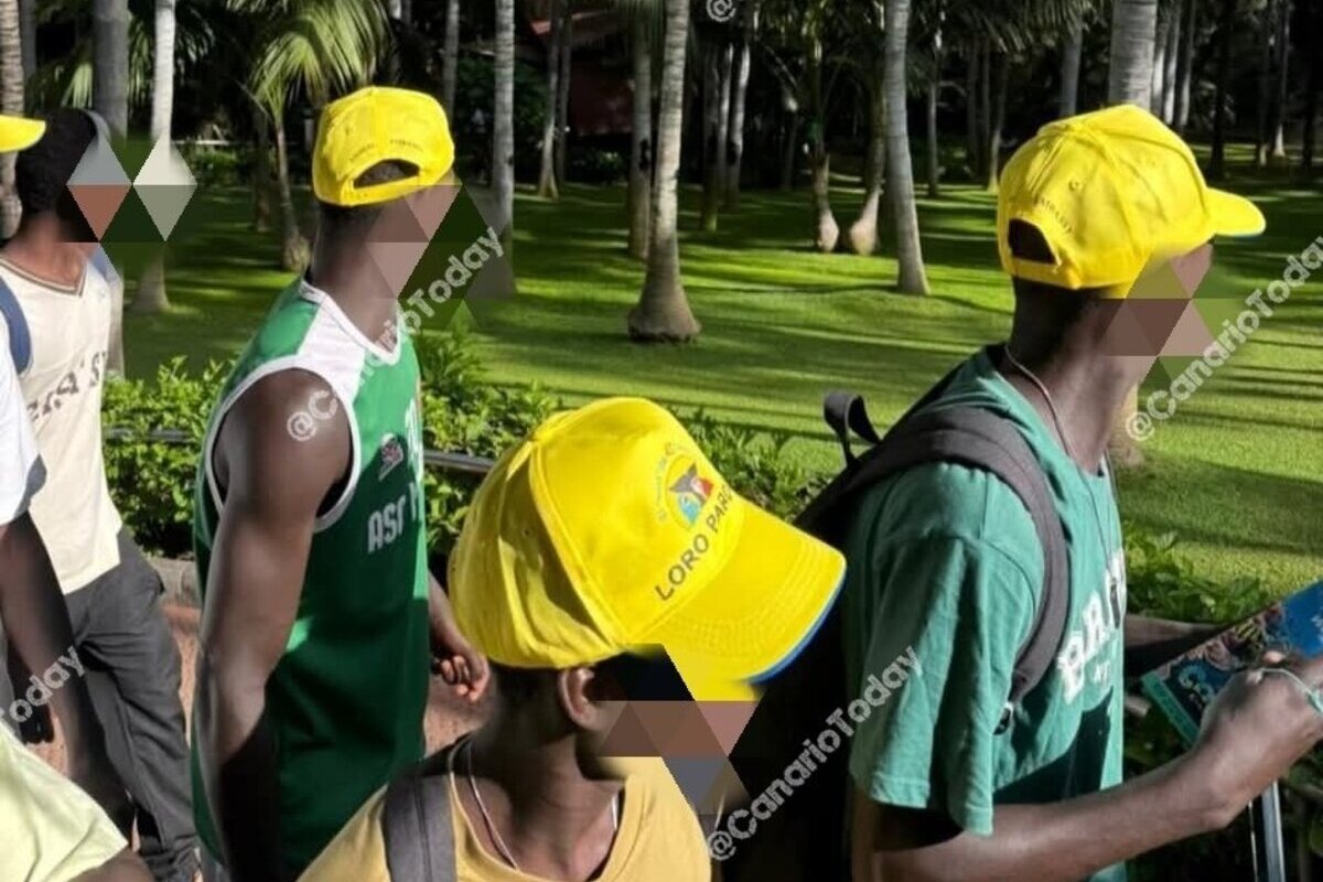 La ONG Quorum Social 77 destina casi 600 euros de dinero público para llevar a 32 inmigrantes ilegales al mejor zoológico de Europa