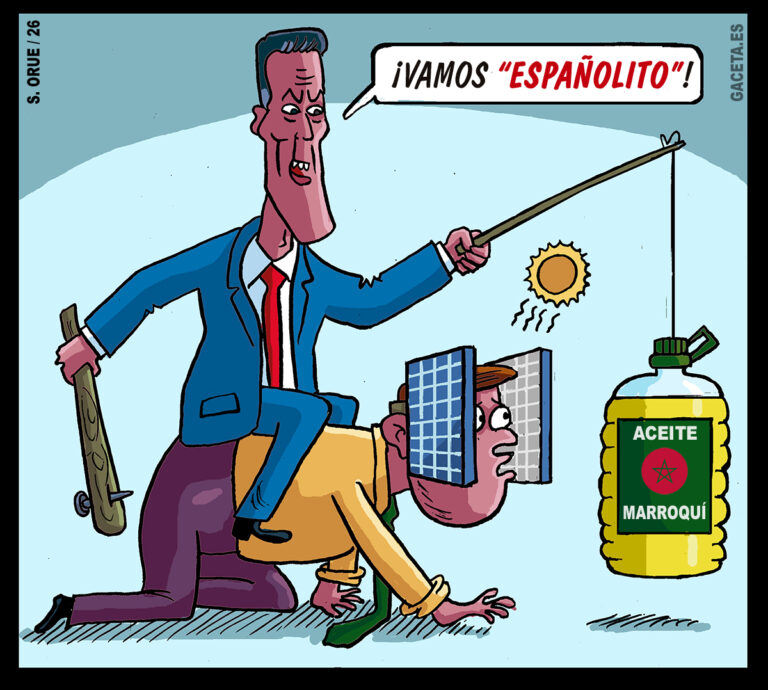 España ya importa casi 10.400 toneladas de aceite de oliva de Marruecos