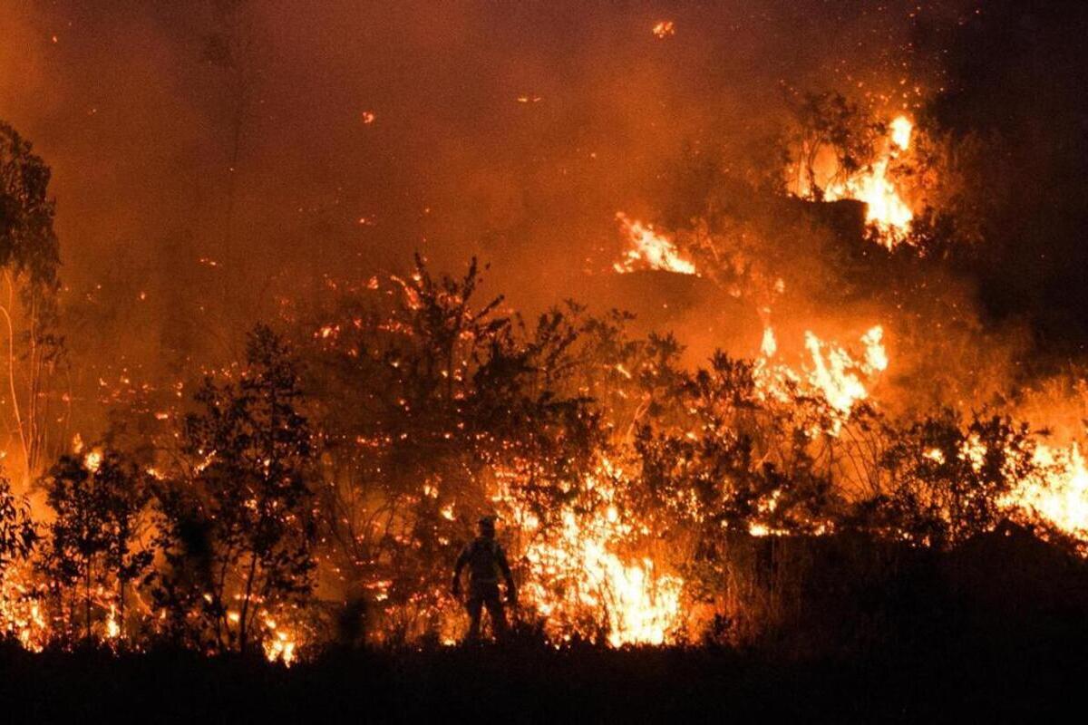 Los ayuntamientos tienen autoridad para prohibir coger piñas o ramas muertas del monte pero no medios para impedir que ardan
