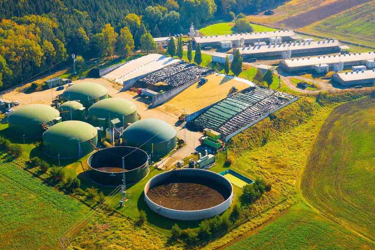 Las centrales de biomasa de Forestalia, investigada por la UCO, se verán beneficiadas por los incendios al disminuir el precio del combustible y la madera