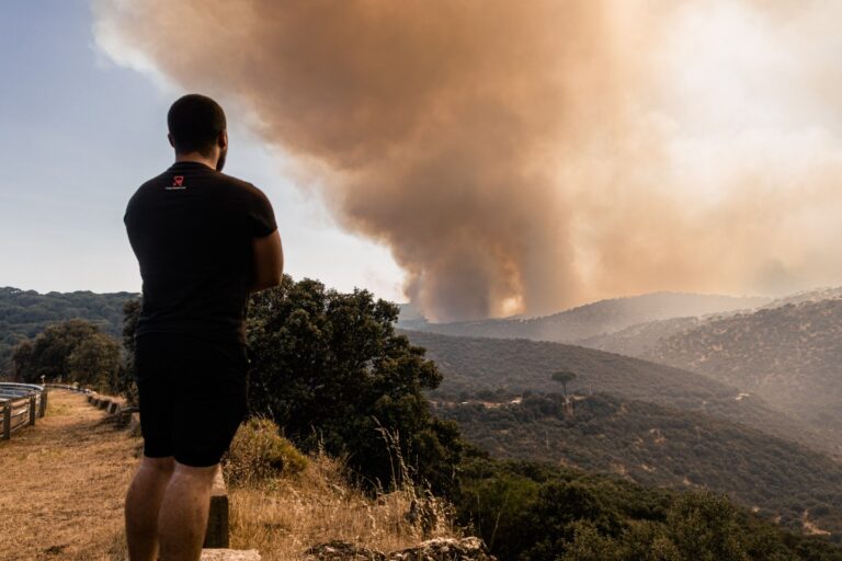 El Gobierno señala que ya se han quemado más de 131.000 hectáreas en lo que va de año mientras el campo protesta indignado por la falta de limpieza de los montes