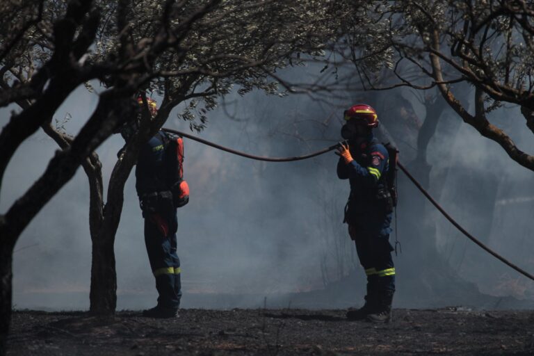 Al menos dos muertos y nueve heridos en un incendio en la isla griega de Salamina