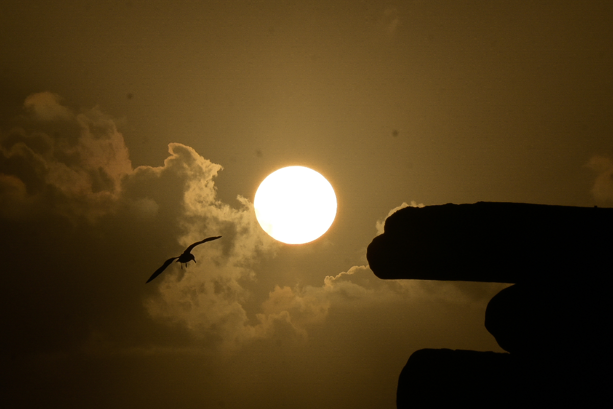 Dragones, guerras y presagios de muerte: así explicaban las antiguas civilizaciones los eclipses solares