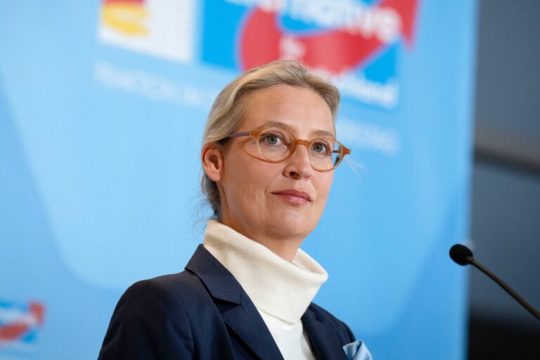 AfD se compromete a cortar la financiación pública a quienes promuevan el «arte antialemán»: «No aceptamos menosprecio a Alemania ni a su cultura»
