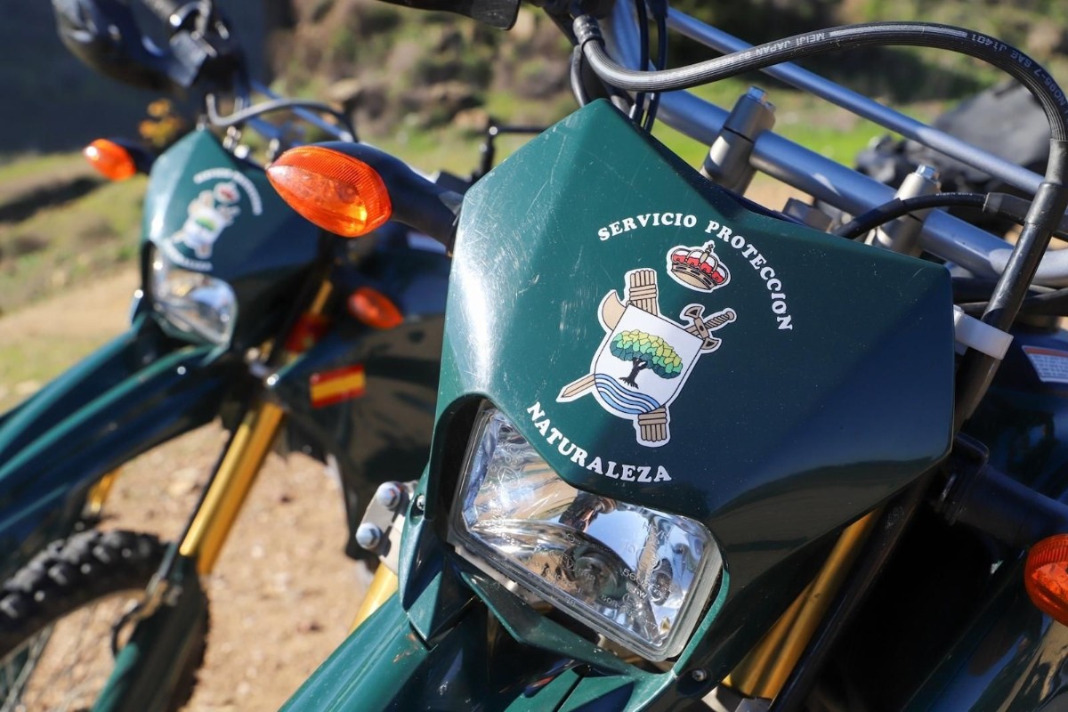 Interior avanza en el desmantelamiento de la Guardia Civil en Cataluña y prepara el cierre de cuatro unidades del Seprona