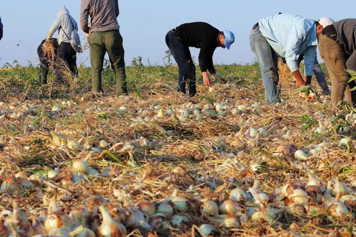 La crisis del campo español: cuatro de cada diez beneficiarios de la PAC ya están en edad de jubilarse