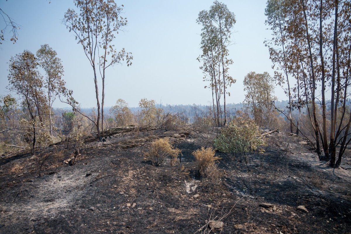 El incendio de Niebla (Huelva) reduce a la mitad su capacidad de propagación respecto al martes