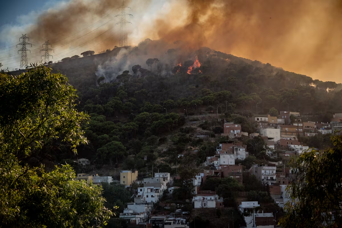 Detenido un inmigrante marroquí por provocar el incendio de Collserola que ha quemado 54 hectáreas y ha provocado el desalojo de decenas de vecinos