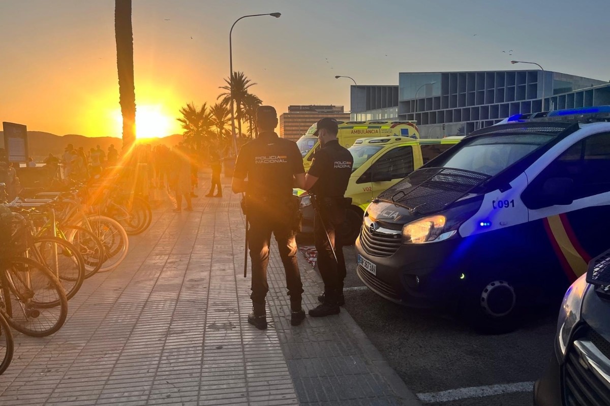 Dos detenidos en Palma, entre ellos un inmigrante búlgaro, por agredir a turistas que dormían en la playa tras el eclipse para robarles