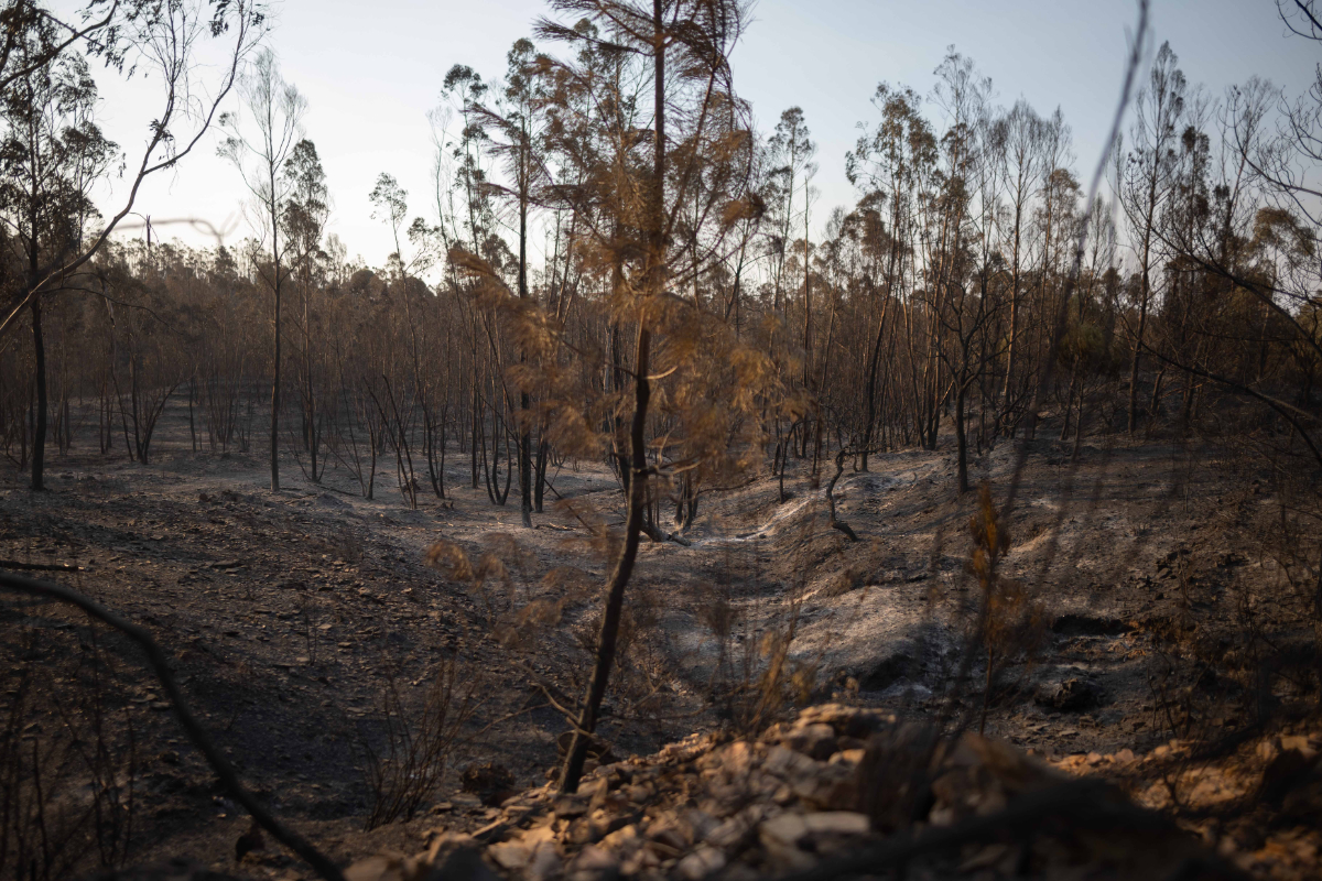 El incendio de Niebla (Huelva) supera las 25.000 hectáreas y confía en el cambio del viento para frenar su avance